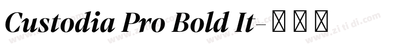 Custodia Pro Bold It字体转换